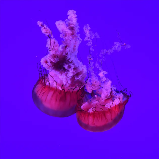亿万28